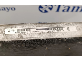 Панель приборов 214100002R, RA1562   Renault Megane III       