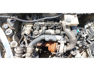 Čerpadlo oleje 1001F2 Citroen Xsara 9HX (DV6ATED4)