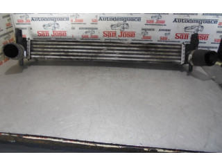 Интеркулер Skoda Rapid (NH)