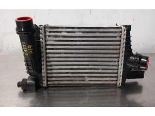 Интеркулер  144961381R   Renault Clio III 