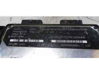 Řídící jednotka 9650359580 Citroen Berlingo 1963