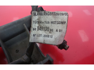 Топливная рампа 9654913680 Citroen C4 I