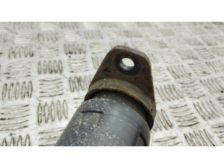 Задний aмортизатор      