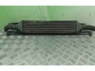 Интеркулер  666450000   Fiat Punto (199) 