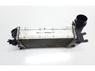 Интеркулер  144614EA1B, MM117X8   Renault Kadjar 1.2