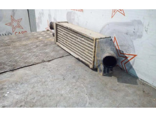 Интеркулер     Ford Transit -  Tourneo Connect 