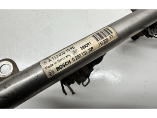 Vstřikovač 0280151209, 0280151209 Mercedes-Benz S W220