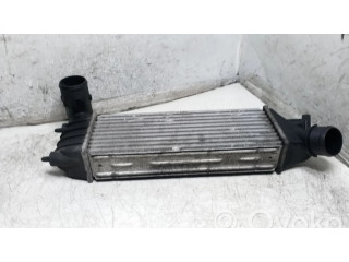 Интеркулер 870229HF, 1489396080 Citroen C8 2.0