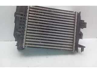 Интеркулер 144961019R Renault Clio V