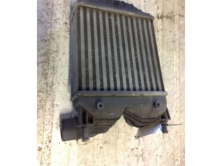 Интеркулер Fiat Idea 2.9