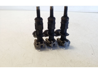 Комплект форсунок 166007686R Dacia Sandero II