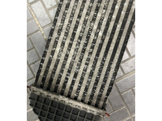 Интеркулер 9M519L440AC, T1851003 Volvo V50