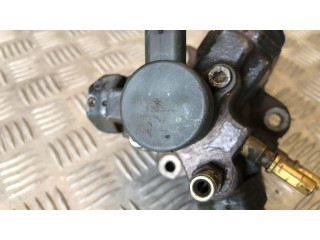 Vstřikovací čerpadlo 0445010046 Peugeot 206 pro benzínový motor 1.6