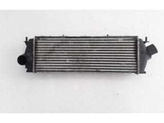 Интеркулер  8200411160   Renault Trafic II (X83) 