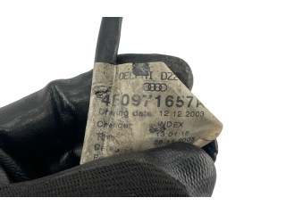 Vstřikovací čerpadlo 057130755M, 4E0971657A   Audi A8 S8 D3 4E    BVN 