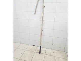 Надувная подушка для крыши       Audi A6 S6 C5 4B  1997 - 2005 года   