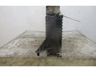 Интеркулер 144618748R, 144618748R Renault Clio III