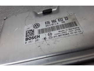 Řídící jednotka 0261201126, 036906032BD Volkswagen Caddy 2004