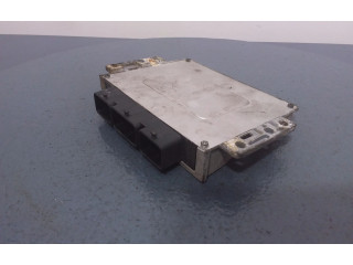 Řídící jednotka 8200162222, 8200162222 Renault Vel Satis 2002