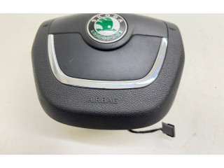 Подушка безопасности водителя 1Z0880201AK Skoda Octavia Mk2 (1Z)