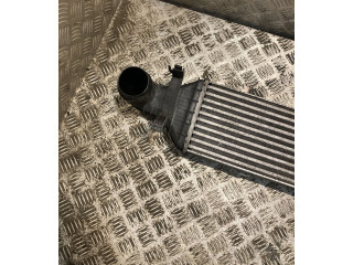 Интеркулер  2045000200, A2045000200   Mercedes-Benz E W212 