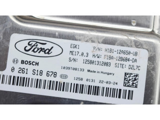 Блок управления двигателя H1B112A650UB, F1BA12B684DA   Ford Fiesta