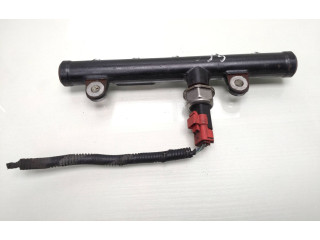 Топливная рампа 9681649580, 9658227880 Ford Galaxy для двигателя QXWA