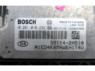 Комплект блоков управления 22496 KIA Ceed