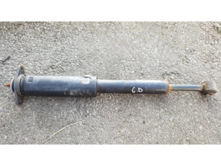 Задний aмортизатор      