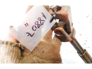    Рулевая рейка 3c1419501n, 07041805   Volkswagen PASSAT B6 2005 - 2010 года