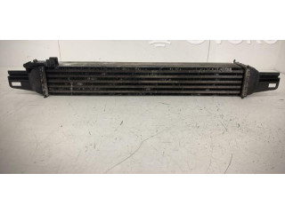 Интеркулер  00000384L7   Citroen Nemo 