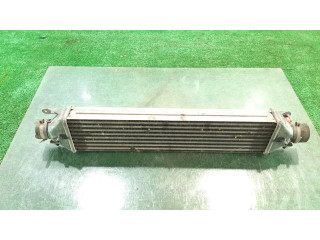 Интеркулер 51783791 Fiat Bravo 1.9