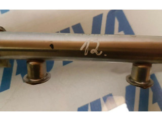 Топливная рампа 04E133320D, 1423310565 Volkswagen Golf Cross для двигателя CHPA