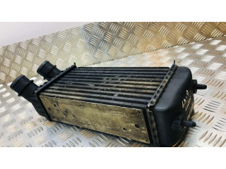 Интеркулер  498987080   Citroen Jumpy 1.6