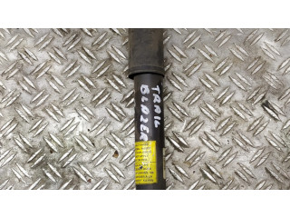 Задний aмортизатор      