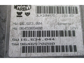 Řídící jednotka 9645989480, 9645989480 Alpine C2 2003