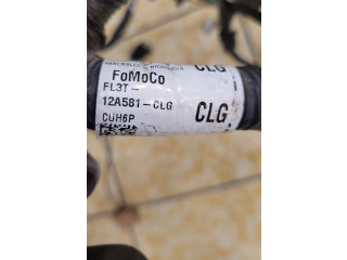 Блок предохранителей  FL3T12A581, FL3T12A581CLG   Ford F150    