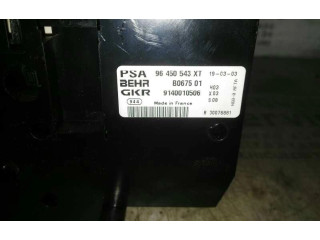 Блок управления климат-контролем 96450543XT, 0070010 Citroen Xsara Picasso