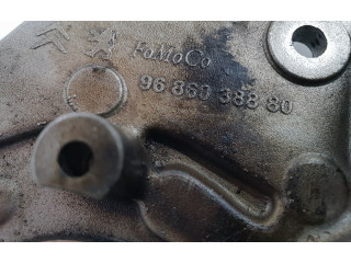 Čerpadlo oleje 9686038880, 1001F2 Citroen C4 Cactus