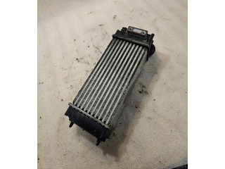 Интеркулер 9648551880, 1876923J Citroen C4 I