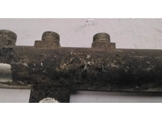 Топливная рампа 55200517, 013361L3   Opel Meriva A  