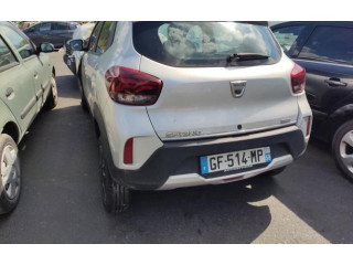 Панель приборов 248091405R   Dacia Spring       