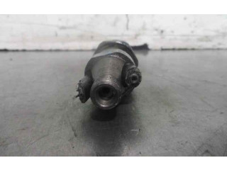 Форсунка 9430030212, 9430030212 Tata Safari D/483DLTC55