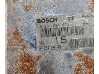 Řídící jednotka 9625493480, 0261204075   Citroen Berlingo 1996