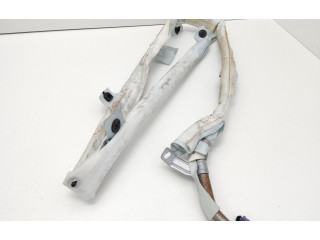 Боковая подушка безопасности 8P4880742F, 8P4880742E   Audi A3 S3 8P