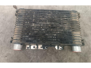 Радиатор интеркулера 1271000421 Mitsubishi Montero