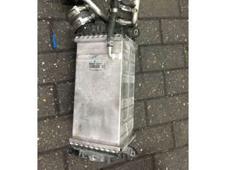 Подушка безопасности пассажира    Mercedes-Benz S W221