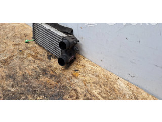 Интеркулер AV21-9L440-AC Ford Ecosport