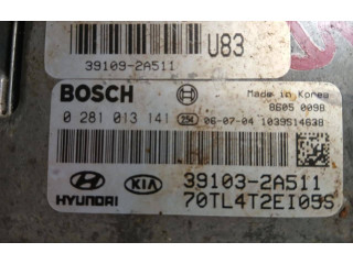 Блок управления двигателя 391092A511, 391032A511   Hyundai Getz