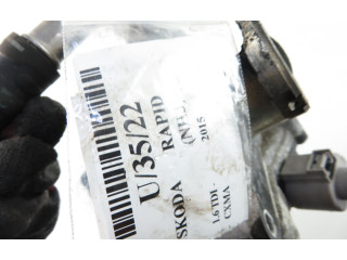 Клапан EGR Skoda Rapid (NH)